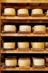 cheddar_cheease