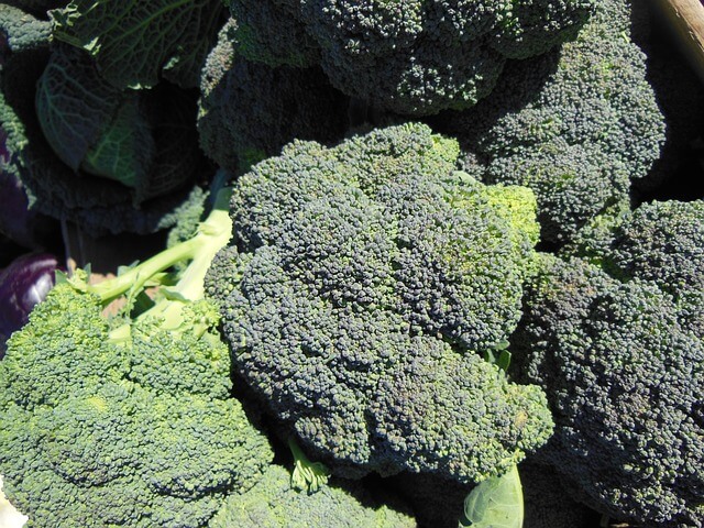 broccoli recipes