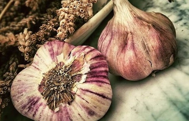 garlic