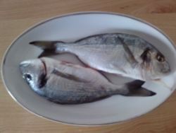 How to Grill Fish