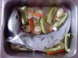 hake recipe